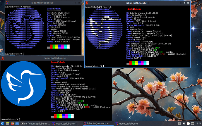 VirtualBox_Ubuntu Oracular_09_11_2024_13_04_29